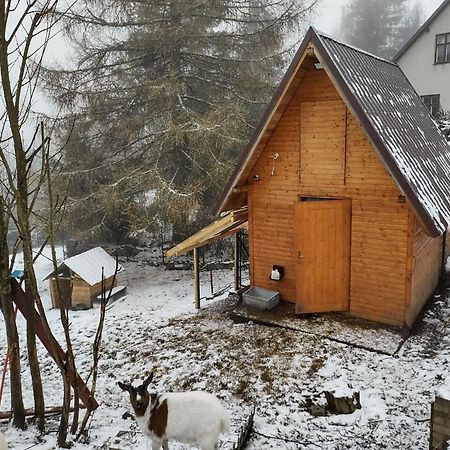 Apartmán U Berňáků Abertamy Exteriér fotografie