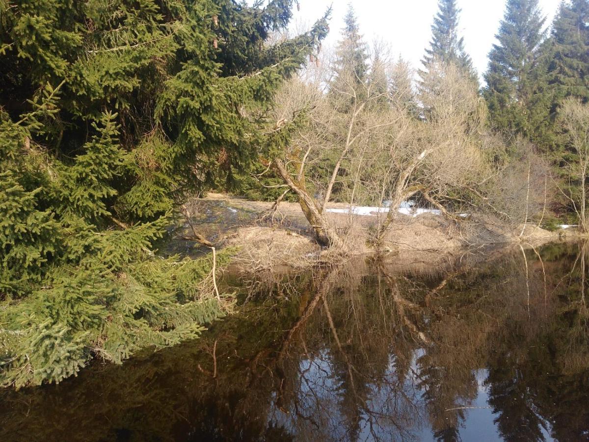 Apartmán U Berňáků Abertamy Exteriér fotografie