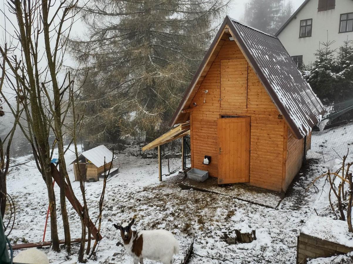 Apartmán U Berňáků Abertamy Exteriér fotografie